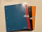 Livescribe Notebook 4-PACK, Preowned, Only 15 Pages Removed. Fixed Price $15.00.