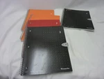 Four Livescribe Notebooks - Complete Plus One Partial. Fixed Price $21.99.