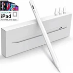 Pencil For Ipad/ipad Air/ipad Mini/ipad Pro 13 Fast Charging Tips. Fixed Price $18.99.