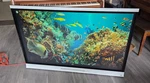 Smart SPNL6065 65" 4K Touchscreen Interactive Whiteboard Built Wifi. Fixed Price $475.99.